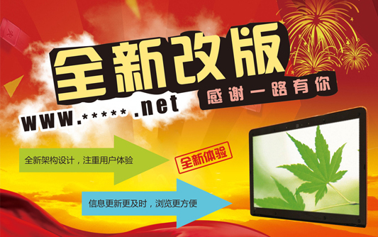 重庆网站改版解决方案